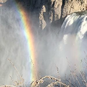 Meet your Posher, Misty